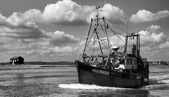 便宜的购买网站求推荐的短信轰在线轰炸免费下载