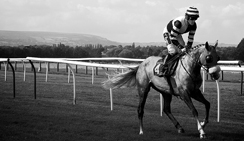 手机号测压网站