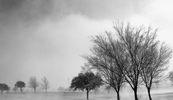 卡密代理一手的短信轰在线轰炸免费