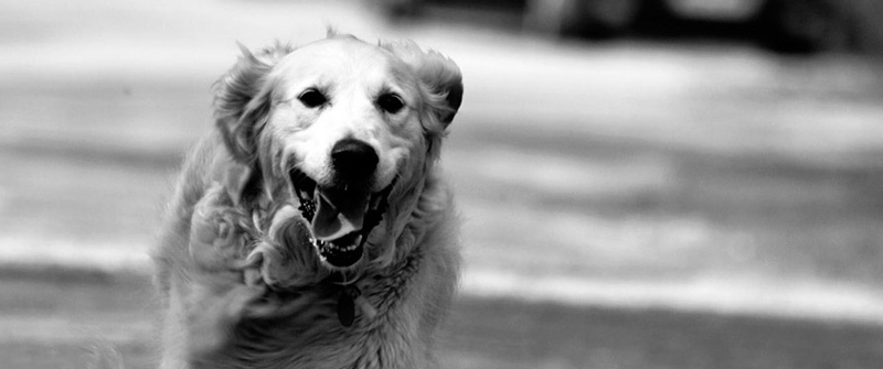 手机号测压网站